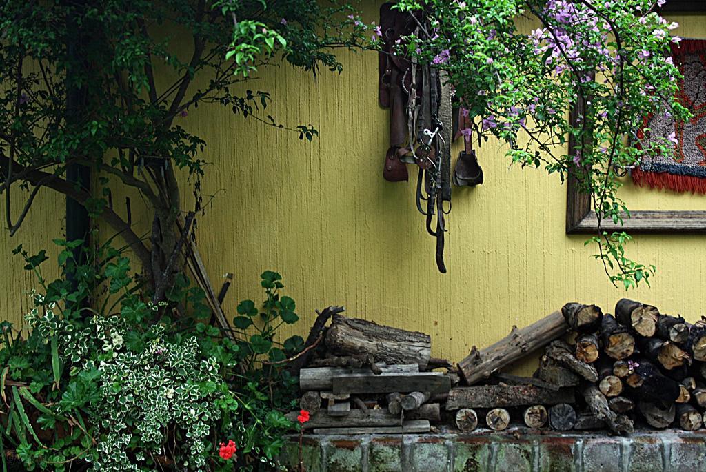 Hostal Saint Mary'S ตาบาเบลา ภายนอก รูปภาพ